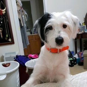 Meet your Posher, Connie